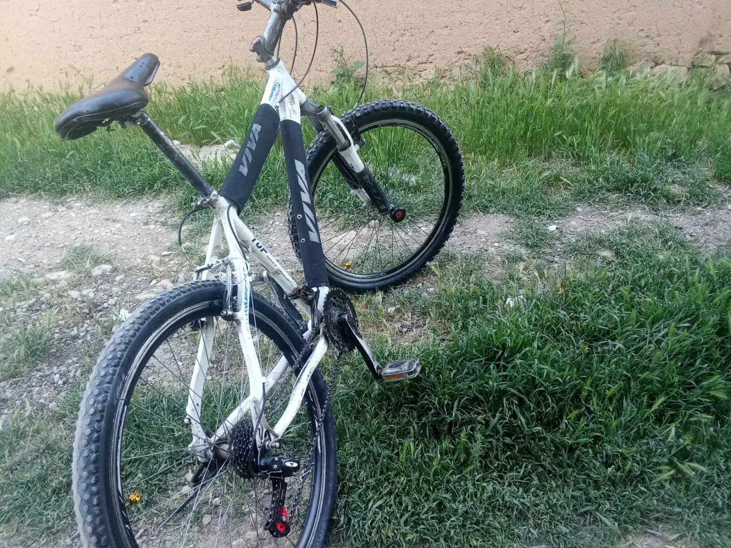 دوچرخه ویوا|دوچرخه، اسکیت، اسکوتر|فارسان, |دیوار