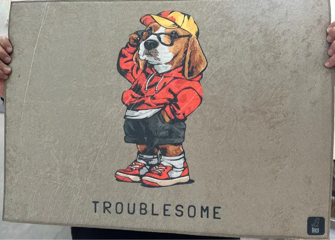 فرش استراحت سگ و گربه|لوازم جانبی حیوانات|رشت, شهریاران|دیوار