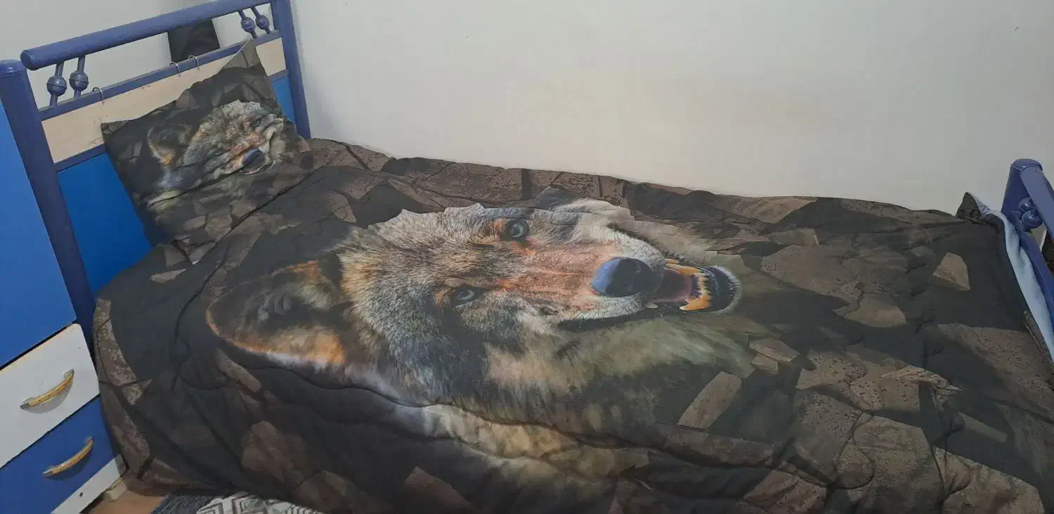 تختواب تک نفره + تشک|تخت و سرویس خواب|چابکسر, |دیوار