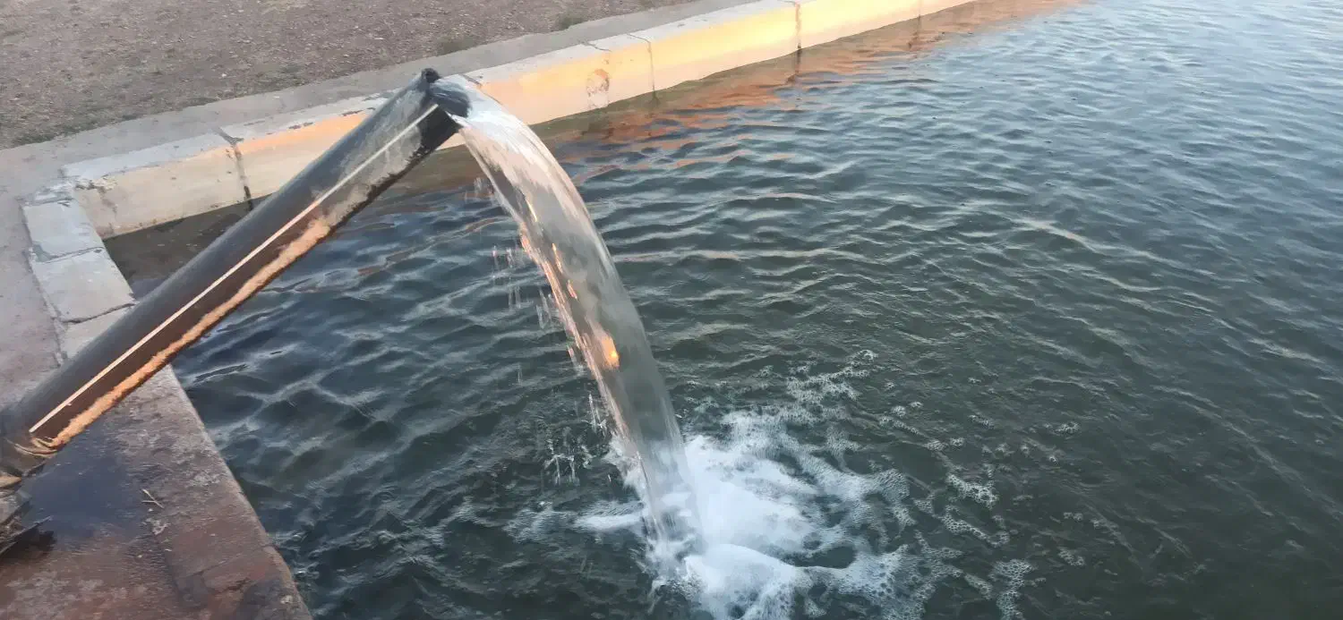 زمین کشاورزی.|فروش دفتر صنعتی، کشاورزی، تجاری|هریس, |دیوار