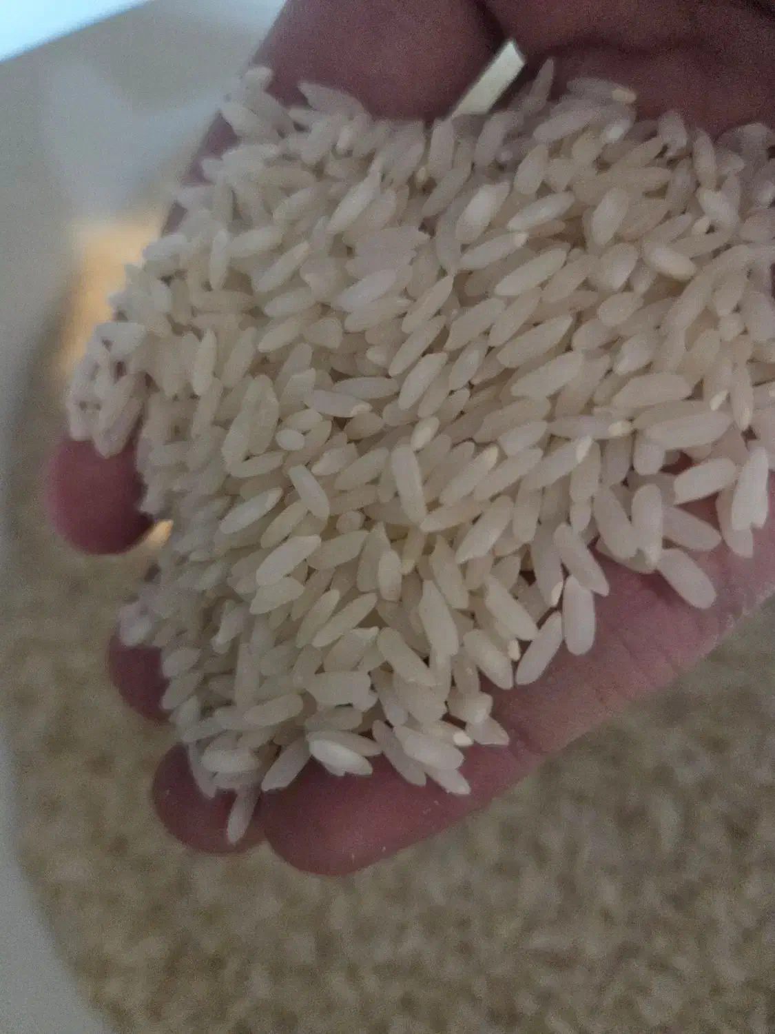 برنج و شلتوک درجه یک و اعلا لنجان|خوردنی و آشامیدنی|اصفهان, فرح آباد|دیوار