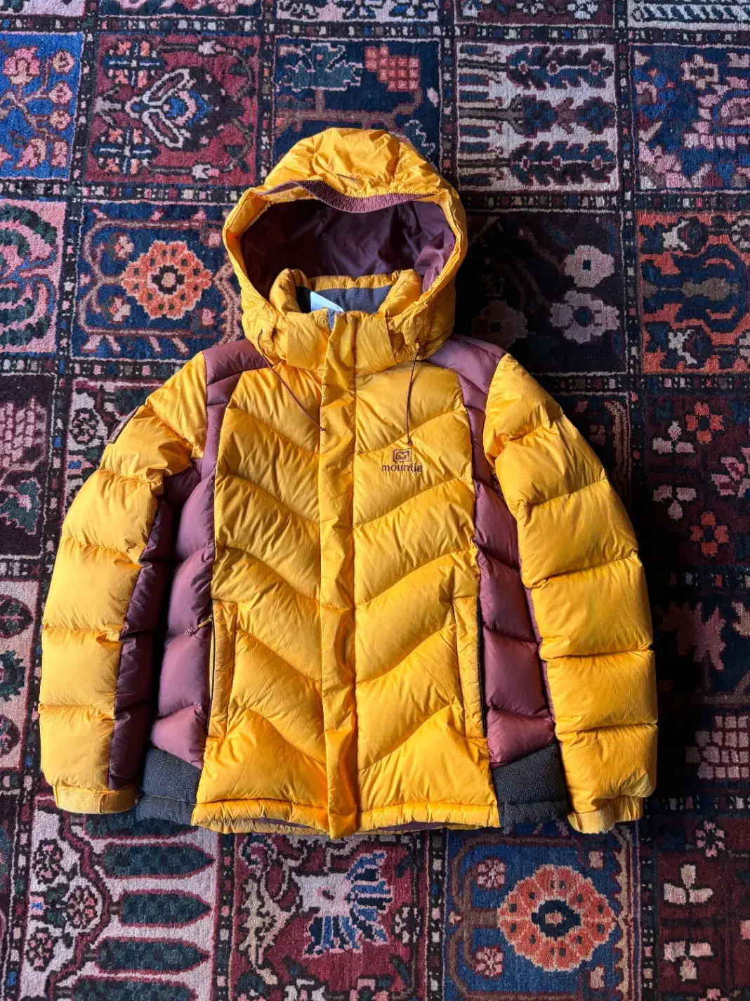 کاپشن پر|کوهنوردی و کمپینگ|اصفهان, باغ نگاره|دیوار