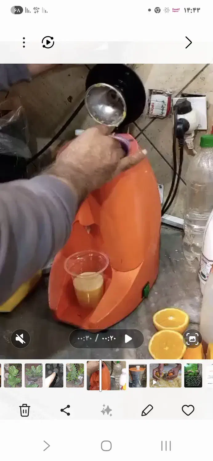 اب پرتقال گیری کونیل اسپانیا|کافی‌شاپ و رستوران|گرگان, |دیوار