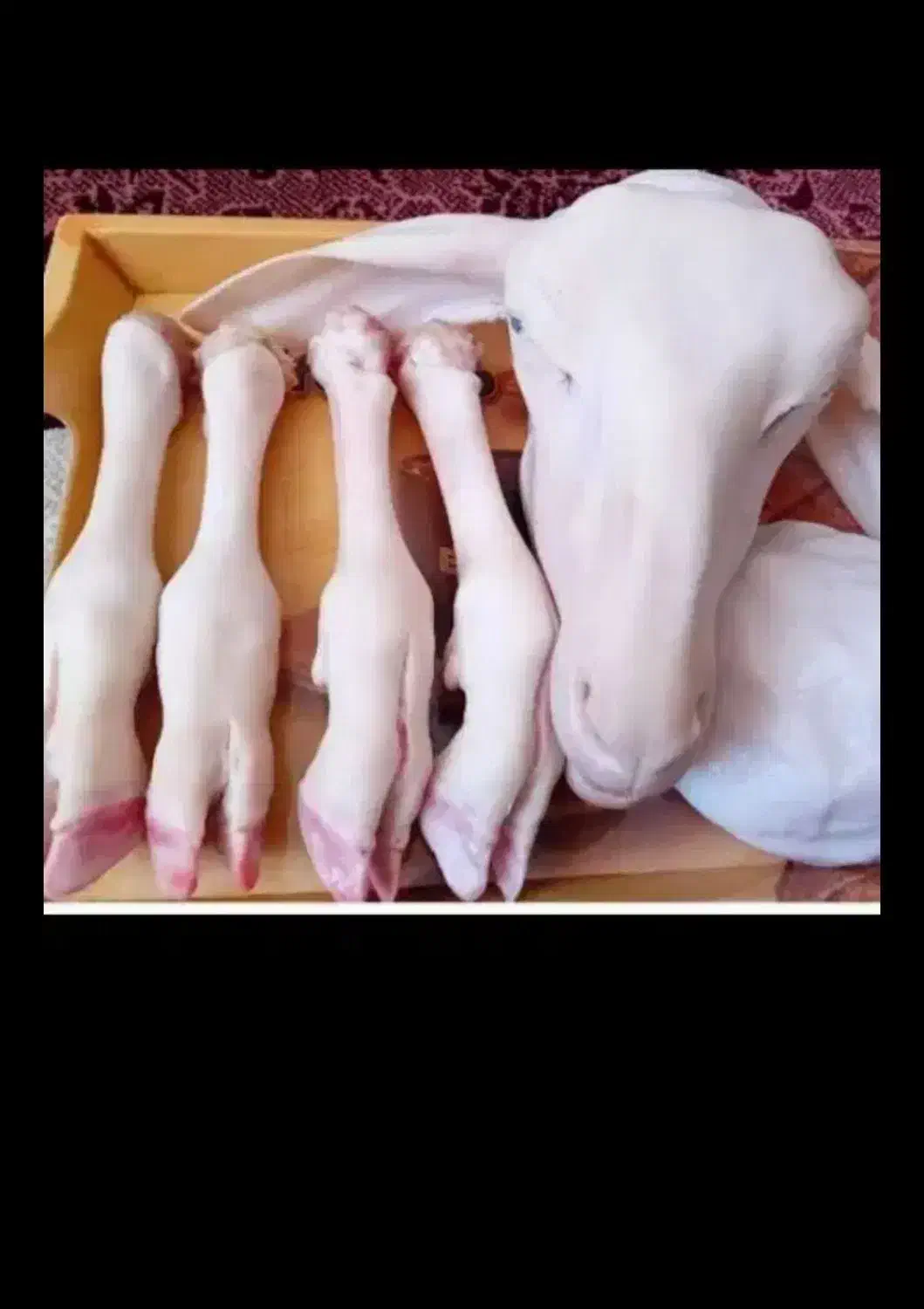 کله پاچه|خوردنی و آشامیدنی|جوانرود, |دیوار