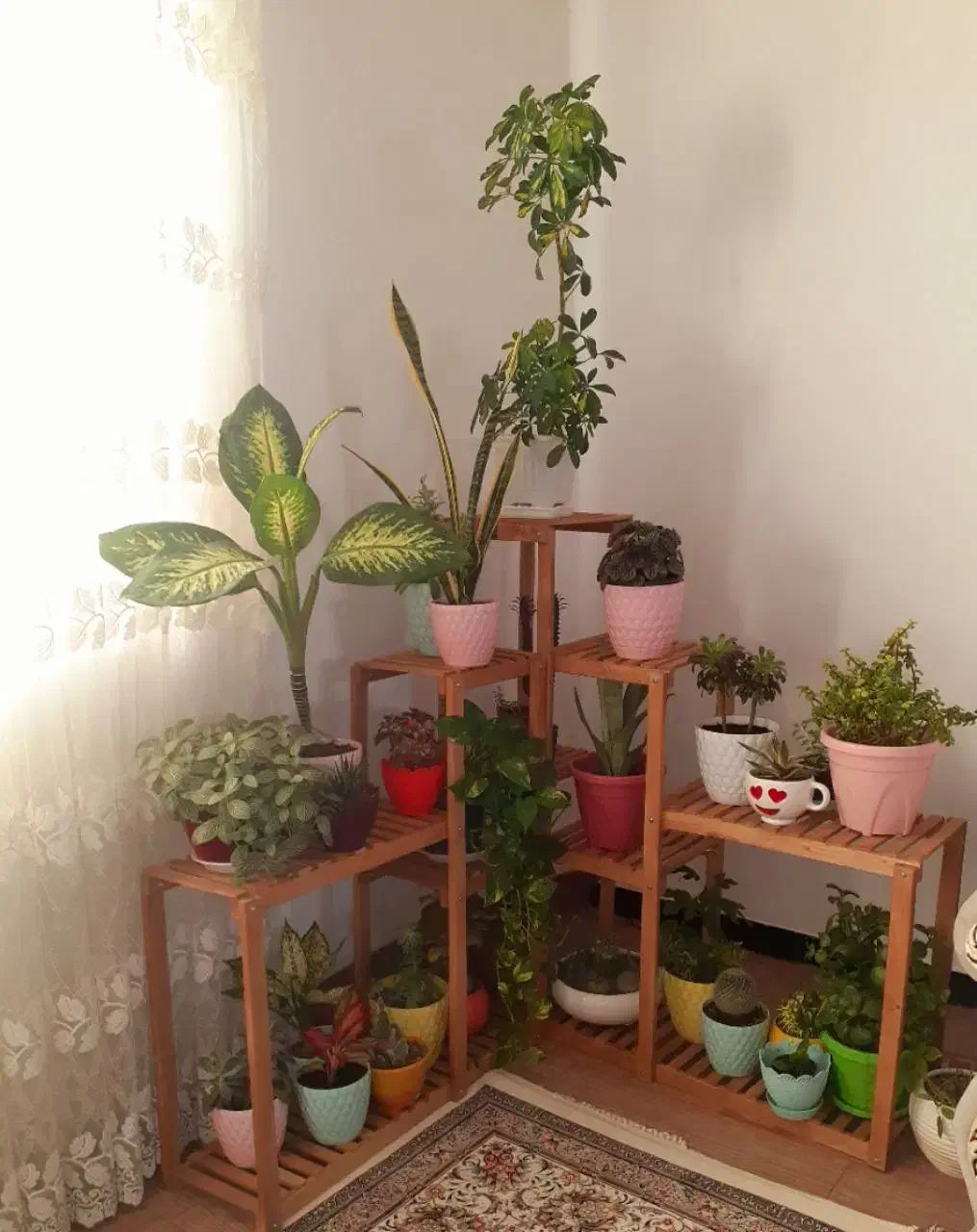 استند چوبی|کتابخانه، شلف، قفسههای دیواری|همدان, |دیوار