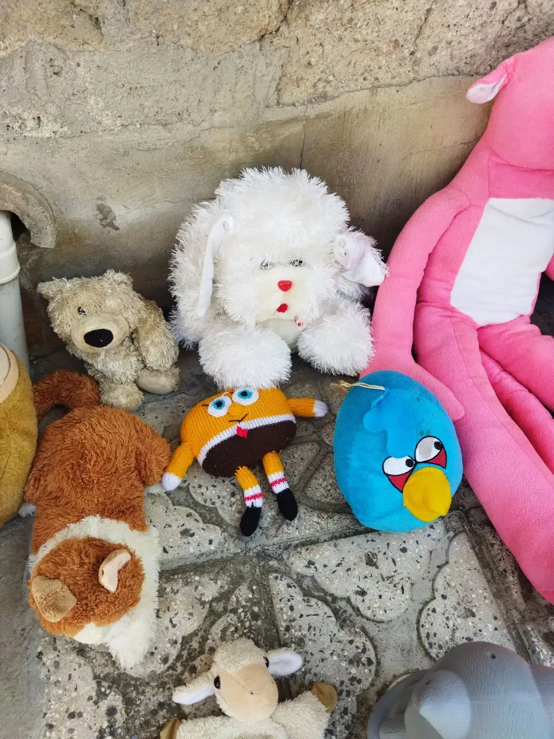 عروسک|اسباب‌بازی بچه|مشگین شهر, |دیوار