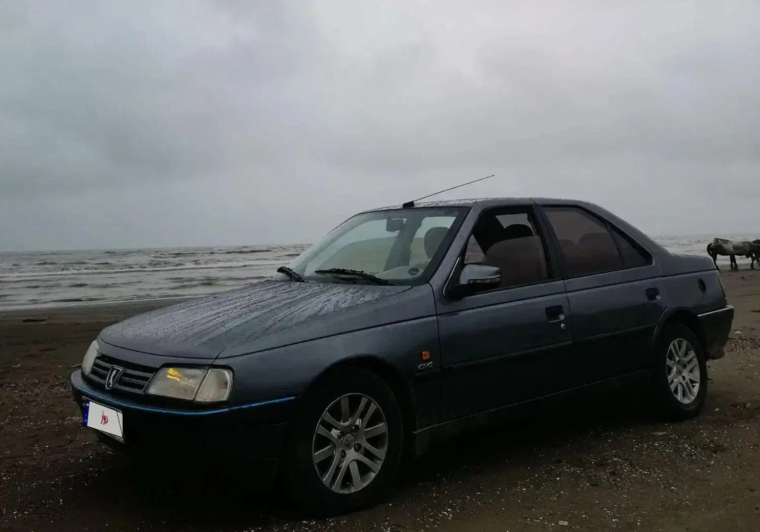 405 مدل96 فول|خودرو سواری و وانت|مشهد, ایثار|دیوار