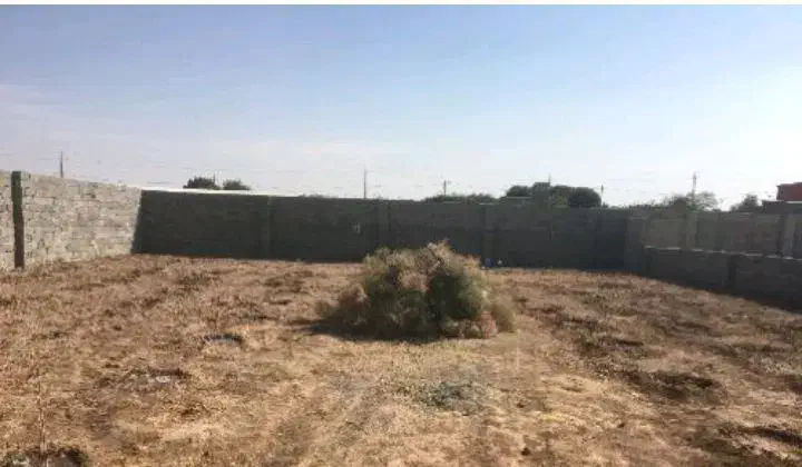یک قطعه زمین 426متری|فروش زمین و ملک کلنگی|هشتگرد, تهران دشت|دیوار