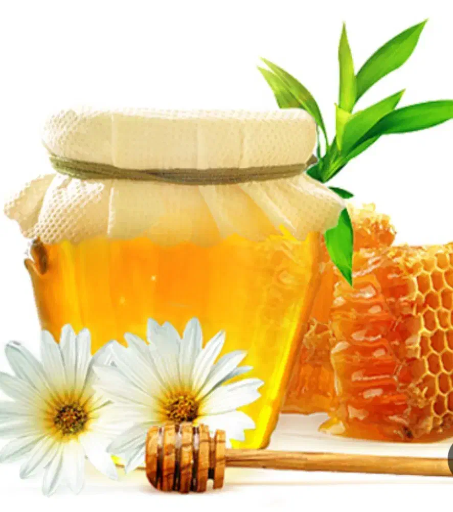 عسل طبیعی آویشن|خوردنی و آشامیدنی|قلقل رود, |دیوار