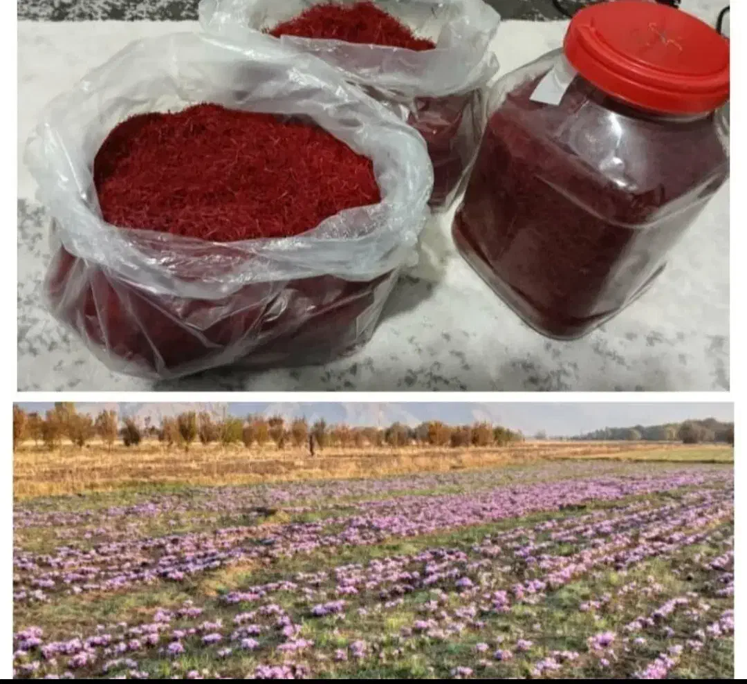 زعفران اصل اصل محلی|خوردنی و آشامیدنی|دره شهر, |دیوار