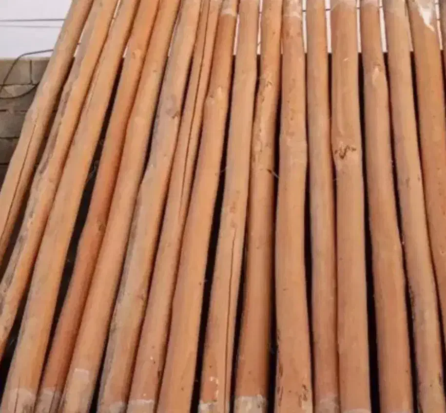 خریدار چوب سقفی خشک|خدمات باغبانی و درختکاری|کوهدشت, |دیوار