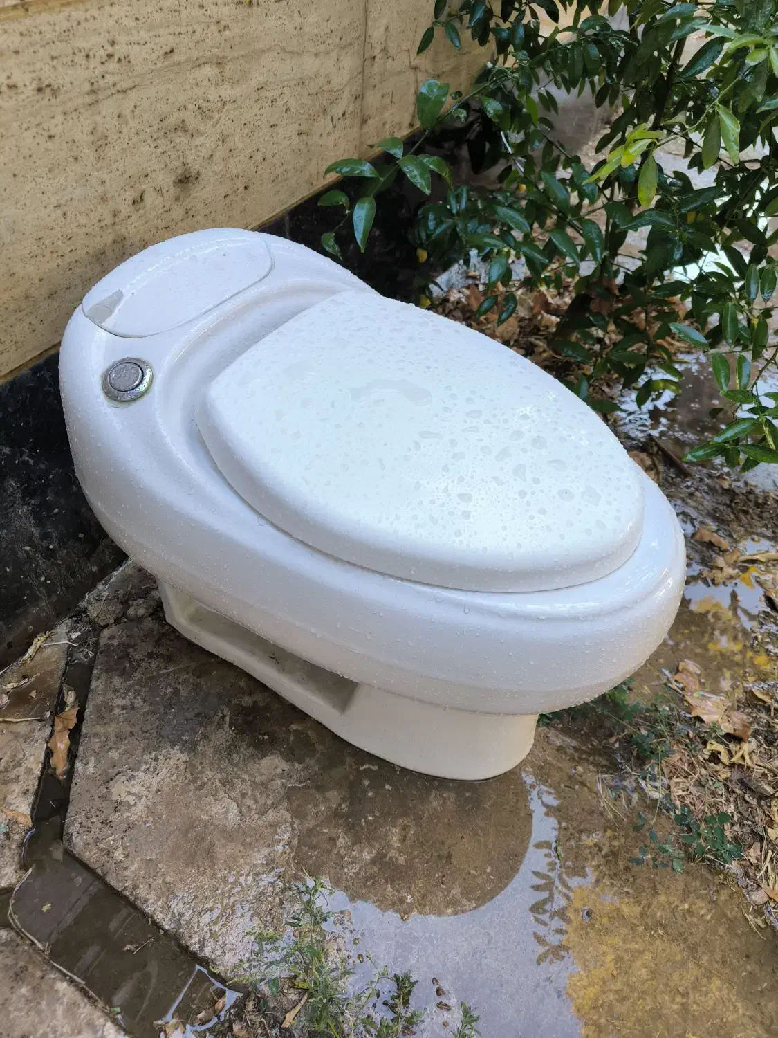 فروش سنگ توالت فرنگی در حد نو|لوازم سرویس بهداشتی|شیراز, کلاهدوز|دیوار