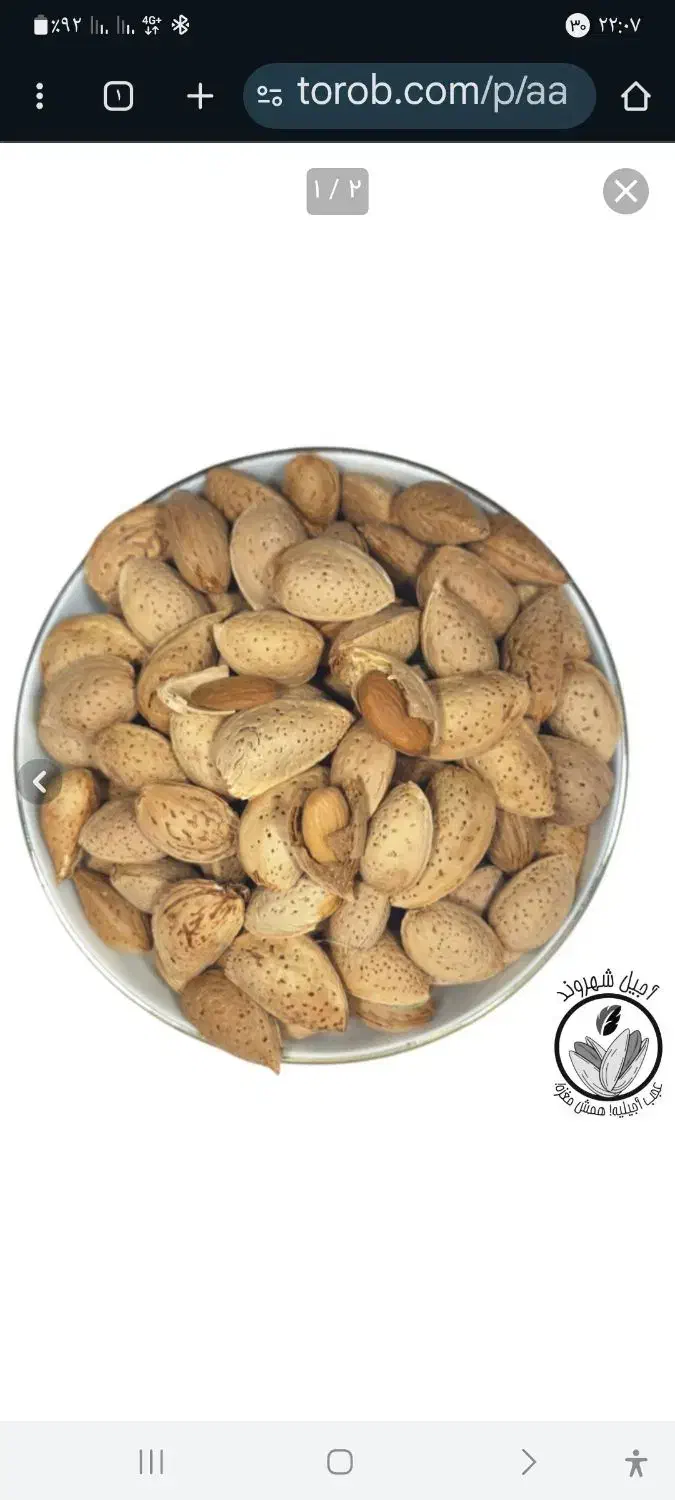 بادام سنگی خوب|عمدهفروشی|فارسان, |دیوار