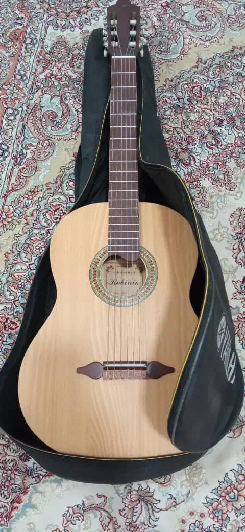 گیتار نو نو استفاده نشده|گیتار، بیس، امپلیفایر|مشهد مرغاب, |دیوار