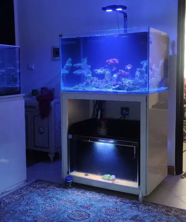 آکواریوم ابشور پلنت|ماهی|اندیشه, شهرک مریم|دیوار