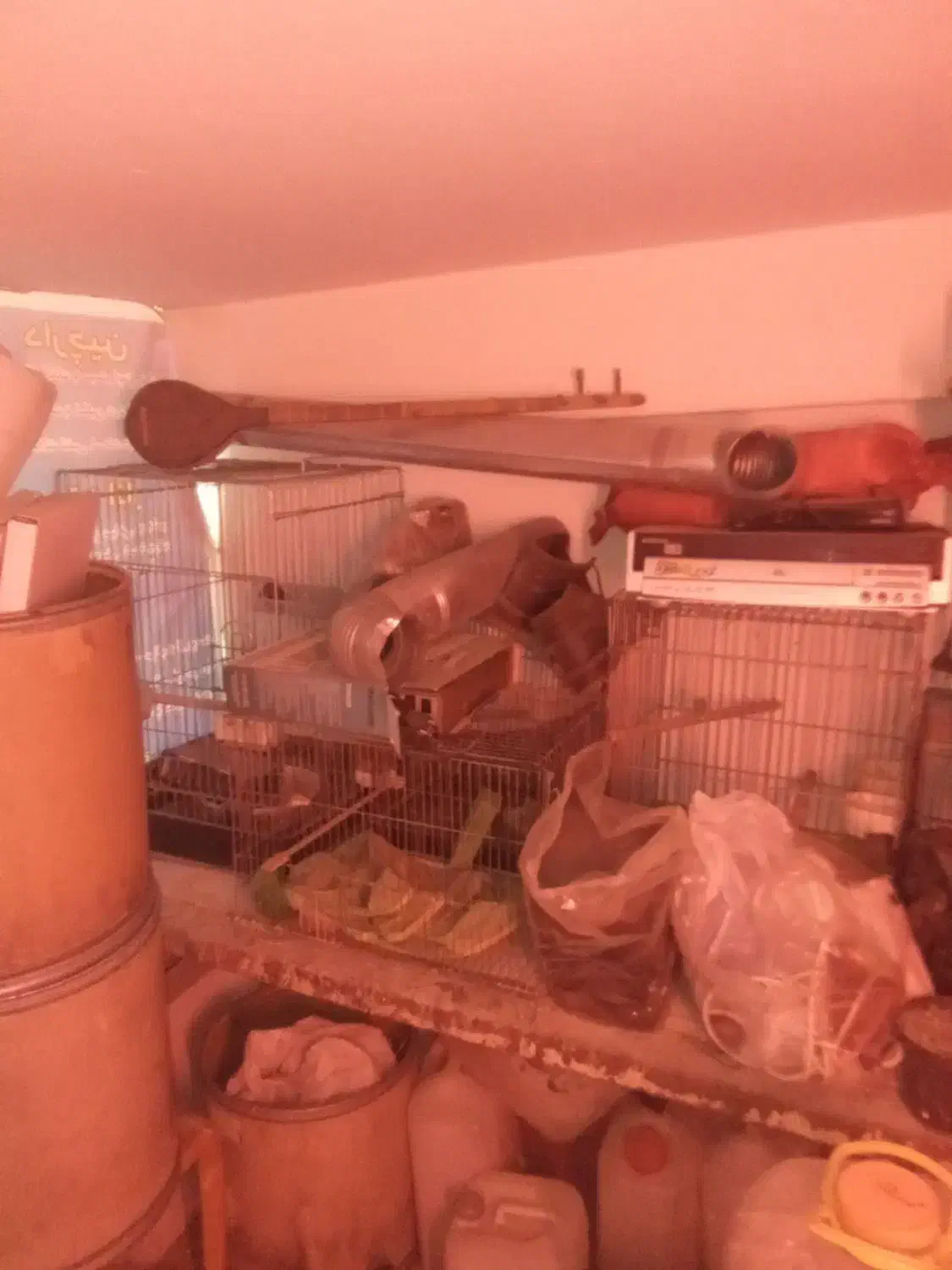 قفس پرنده|لوازم جانبی حیوانات|فردیس, فردیس|دیوار