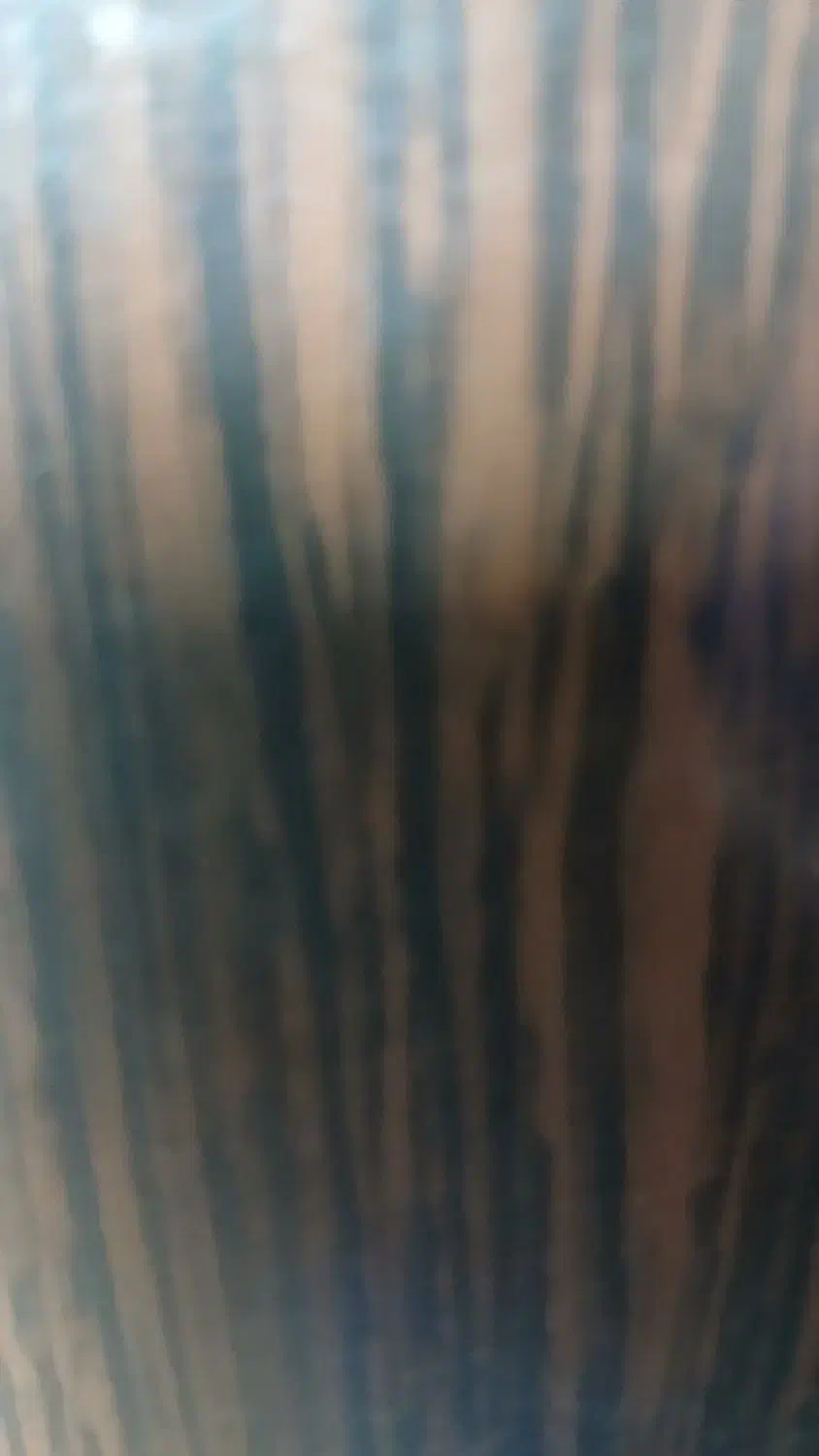 همخونه میشم