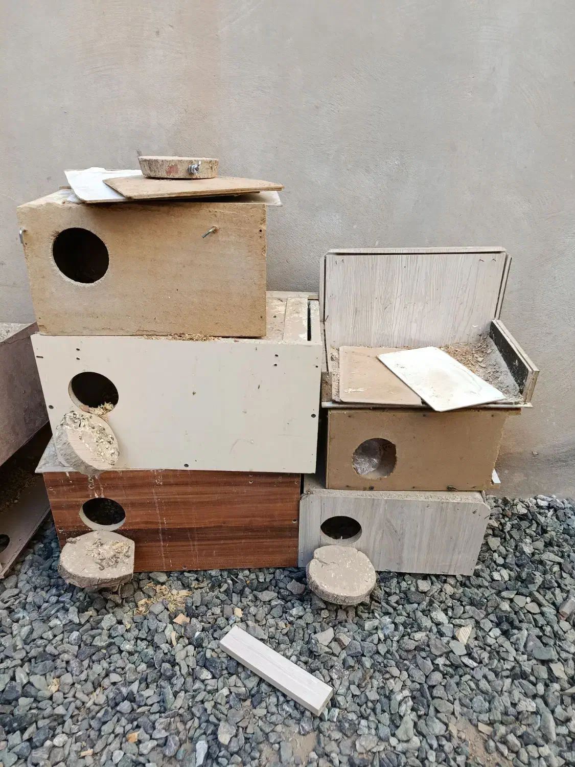 لانه عروس هلندی|لوازم جانبی حیوانات|بیرجند, |دیوار