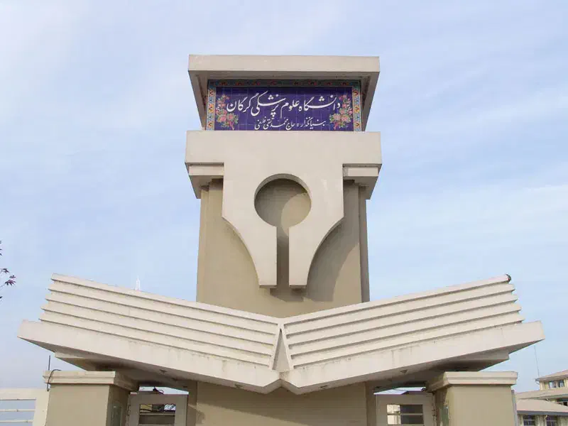 مشاوره تحصیلی حرفه‌ای با دانشجوی پزشکی|خدمات آموزشی|گرگان, |دیوار