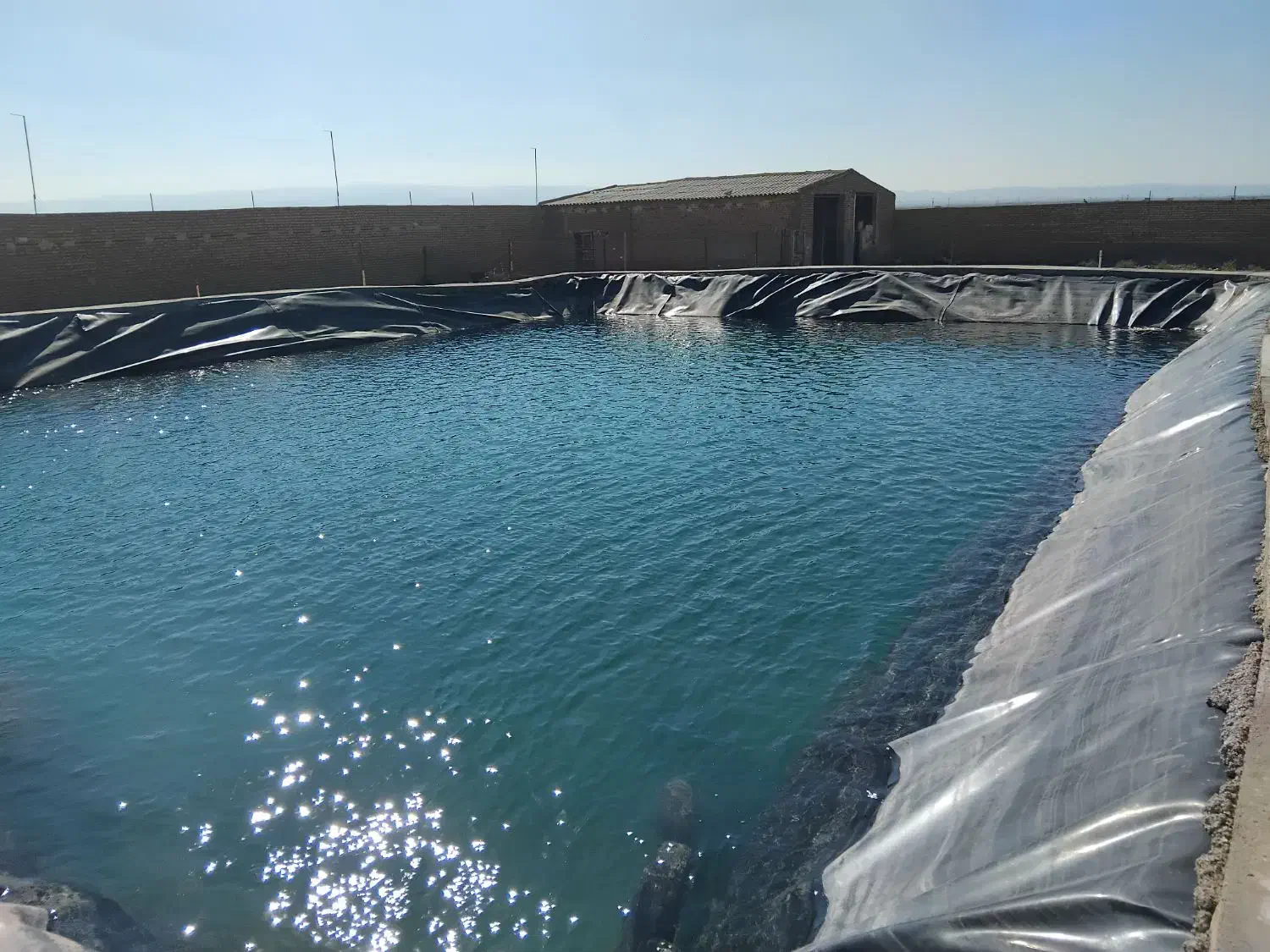 دامداری و سالن واستخر|فروش دفتر صنعتی، کشاورزی، تجاری|رضویه, |دیوار