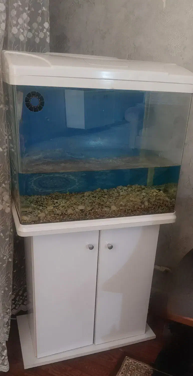 اکواریوم|ماهی|تهران, اوقاف|دیوار