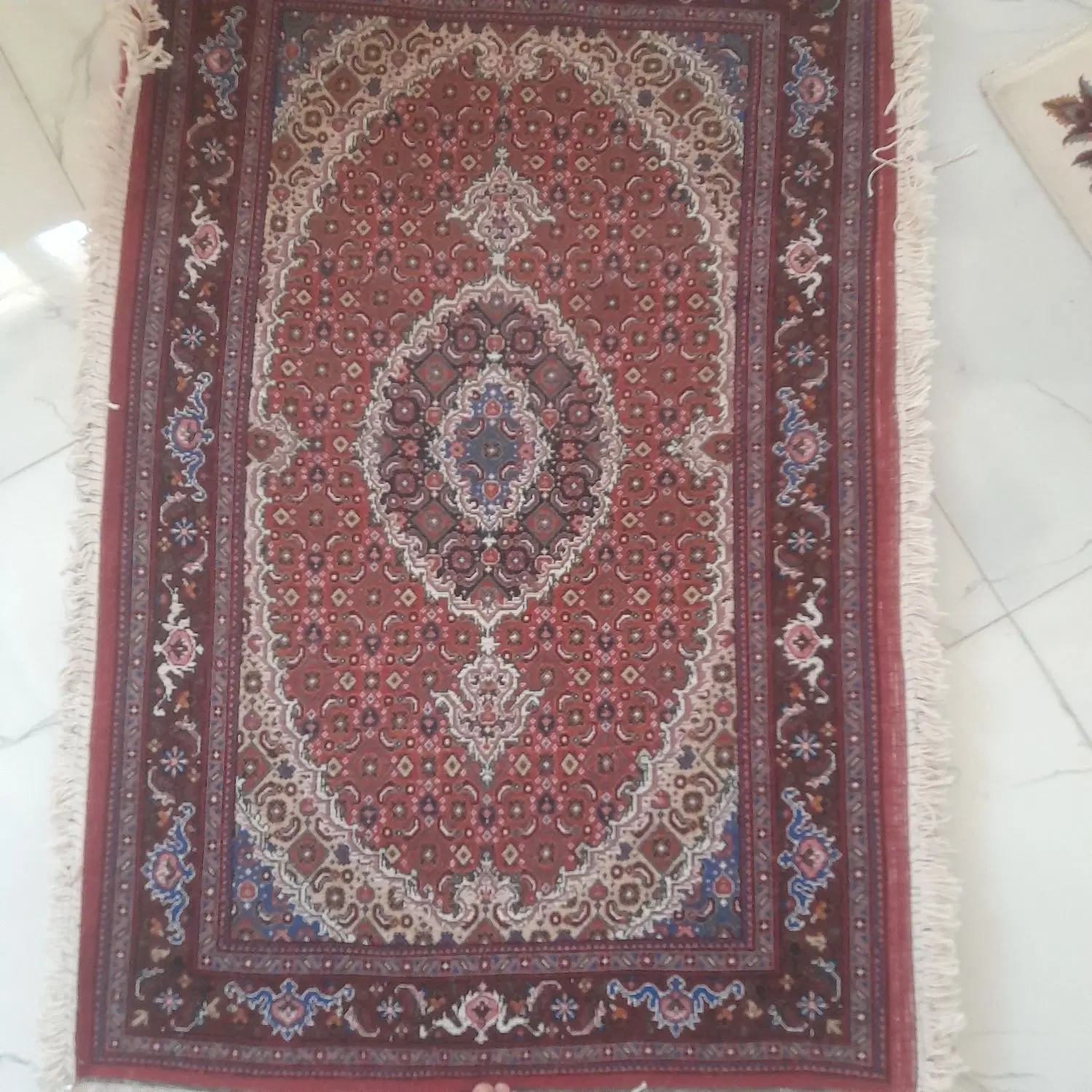 قالی|فرش|اردبیل, |دیوار