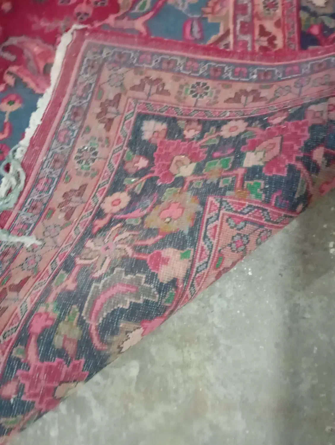 فرش دستبافت|فرش|رشت, استقامت ۲|دیوار