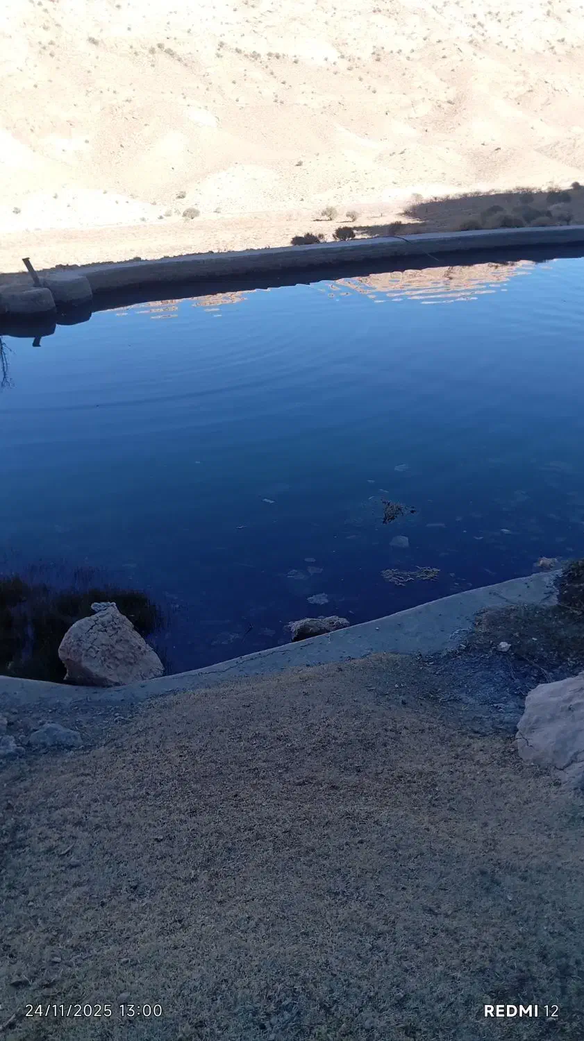 آب شیرین کن|فروشگاه و مغازه|قائن, |دیوار