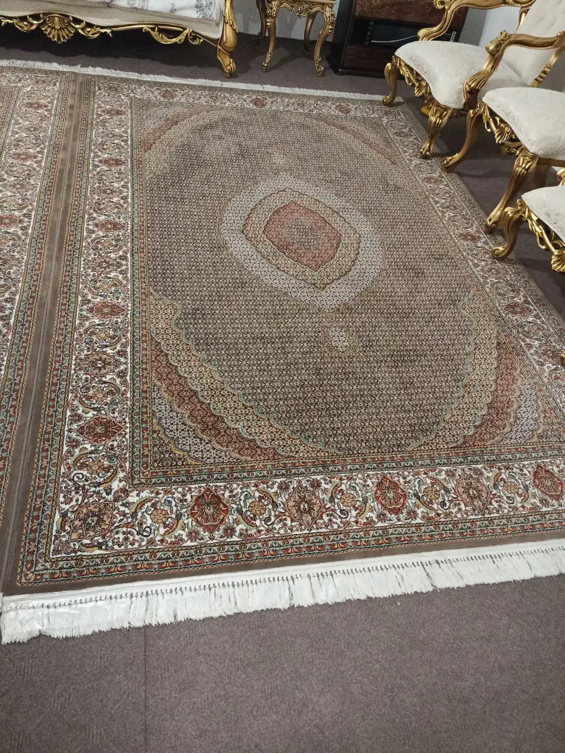 فرش  6متری|فرش|ارومیه, |دیوار