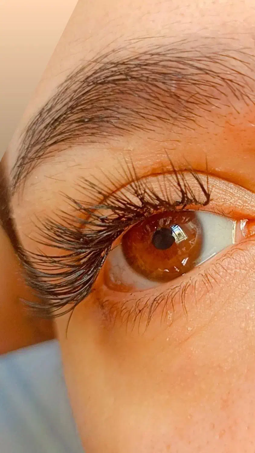 آموزش و خدمات کاشت مژه اکستنشن مژه و لیفت ابرو مژه|خدمات آرایشگری و زیبایی|اردبیل, |دیوار