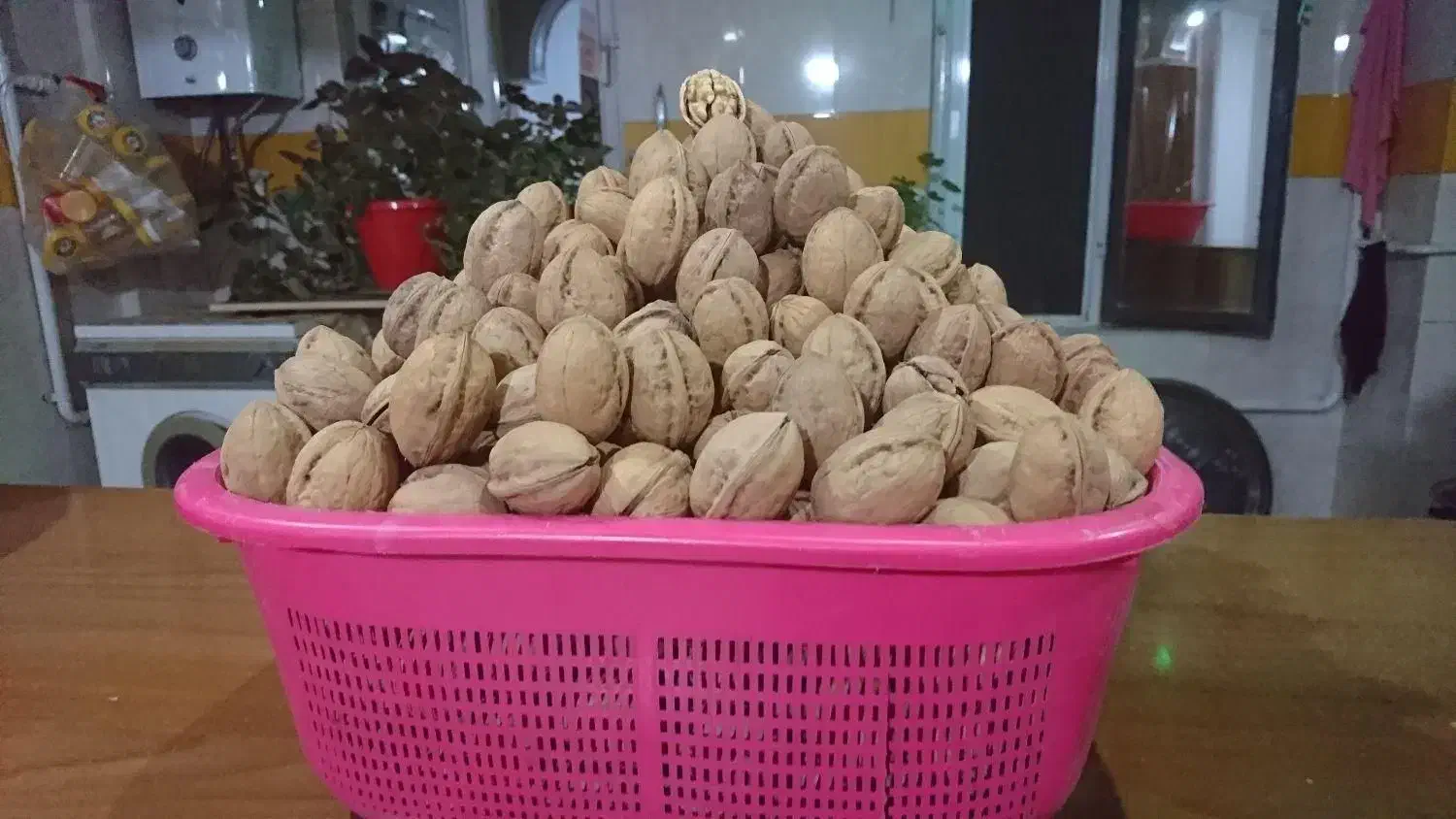 گردو|خوردنی و آشامیدنی|کرج, عظیمیه|دیوار