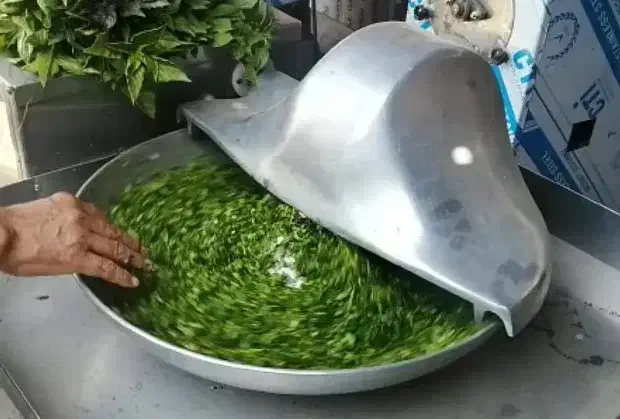 نیرو خانم مغازه سبزی خردکنی|استخدام بازاریابی و فروش|کاشان, قطب راوندی|دیوار