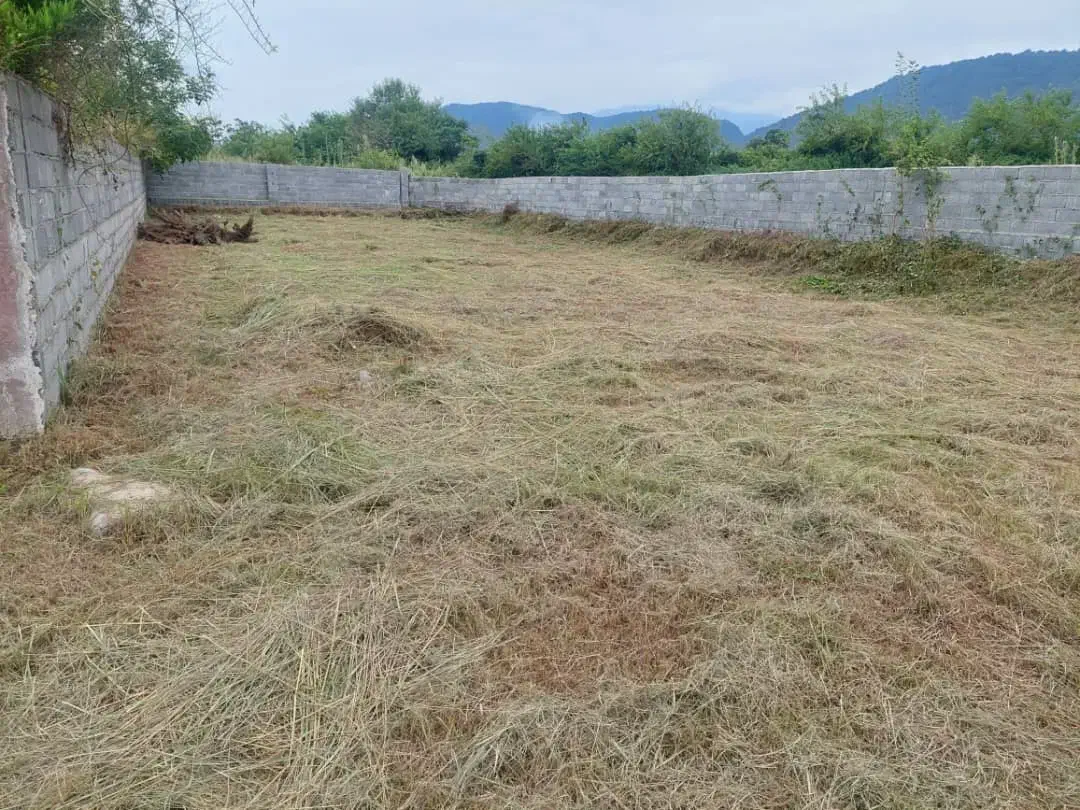 زمین مسکونی ( ویلایی )|فروش زمین و ملک کلنگی|چالوس, |دیوار