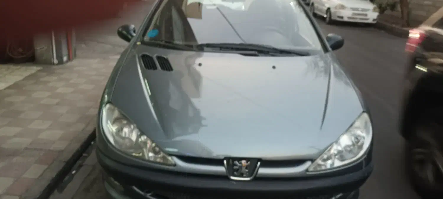 ۲۰۶ تیپ ۲|خودرو سواری و وانت|تهران, کرمان|دیوار