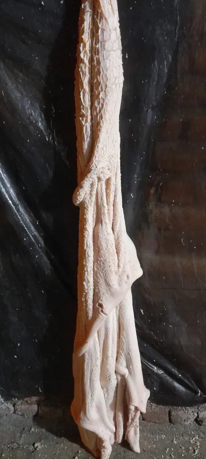 آلایش دامی|خوردنی و آشامیدنی|نقده, |دیوار