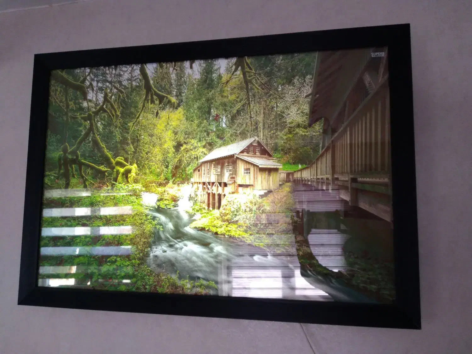 تابلو وچراغ خواب زیبا|تابلو، نقاشی، عکس|ایلام, |دیوار