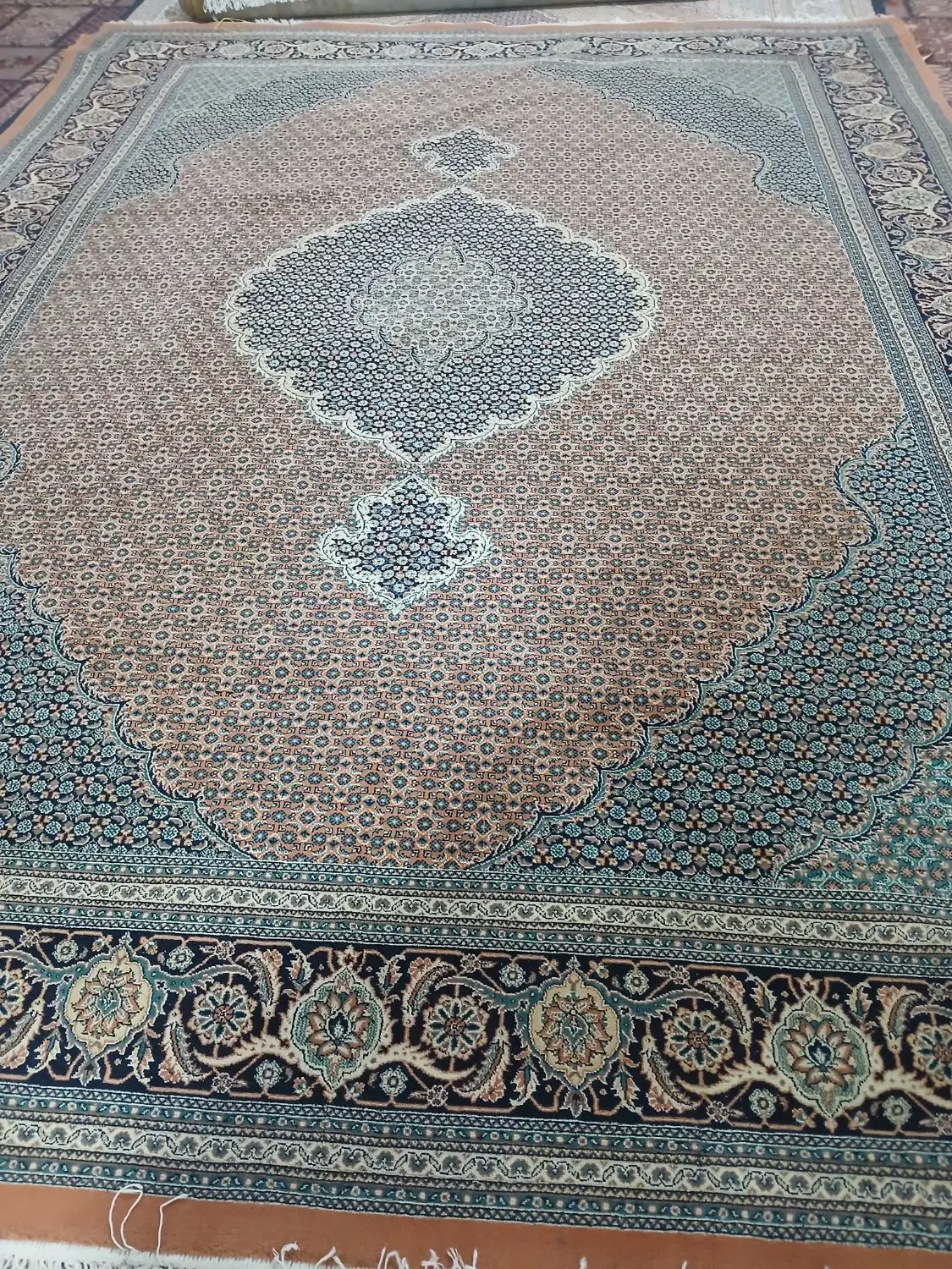 جفت ۱۲ متری ماهی|فرش|آبش احمد, |دیوار