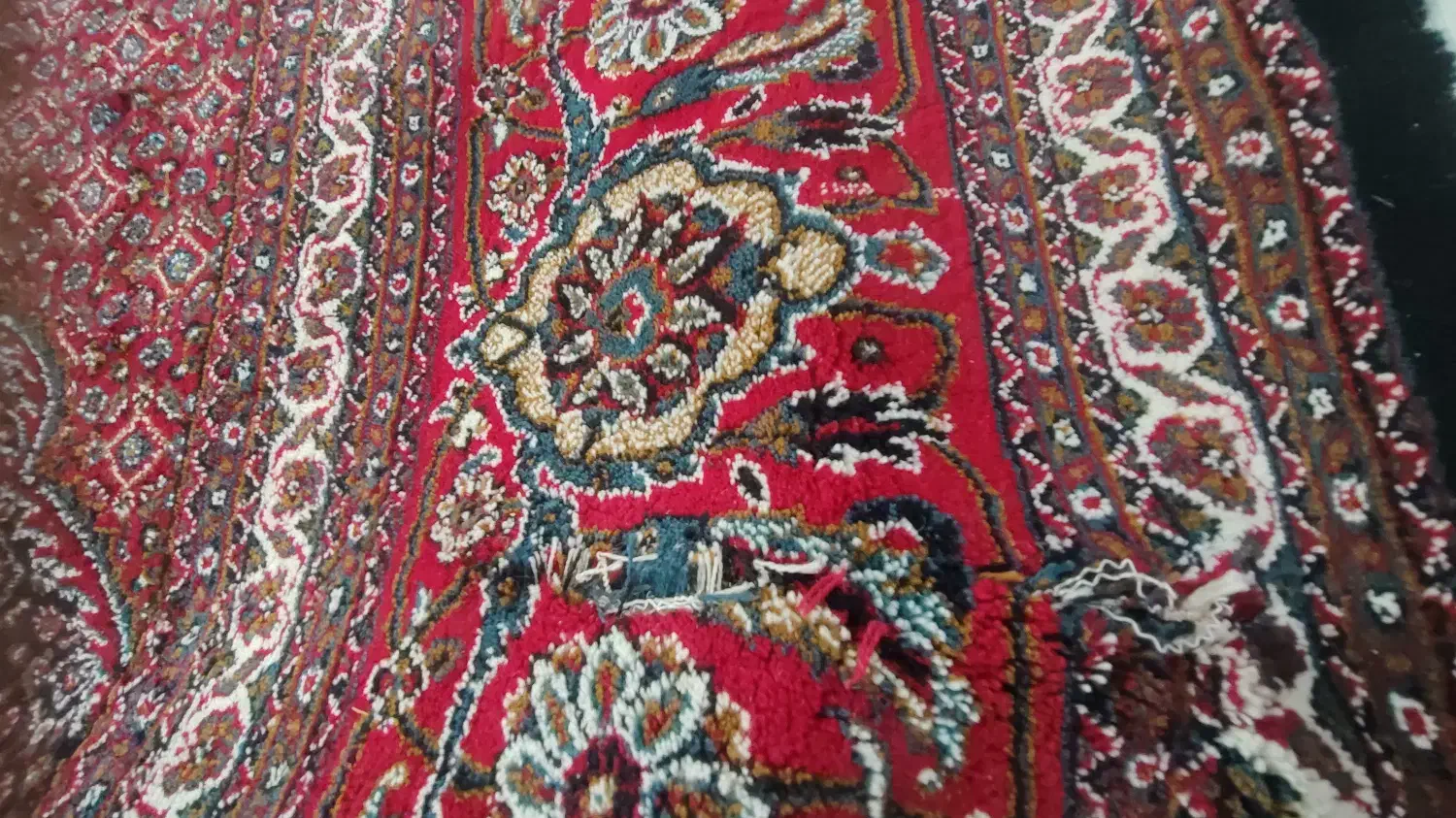 فرش ۳در۴ طرح ماهی|فرش|سقز, |دیوار