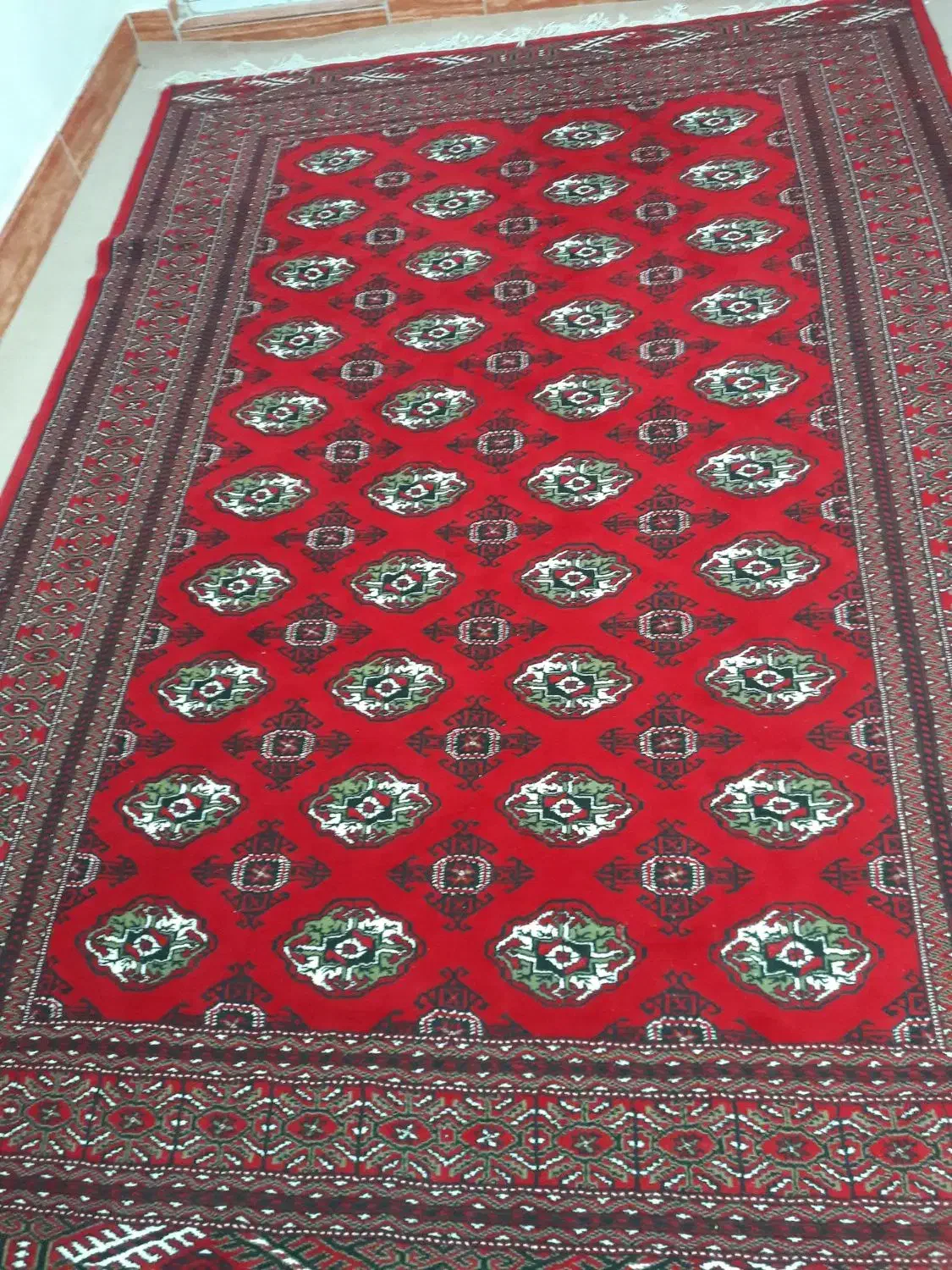 قالی قرمز|فرش|گنبد کاووس, |دیوار