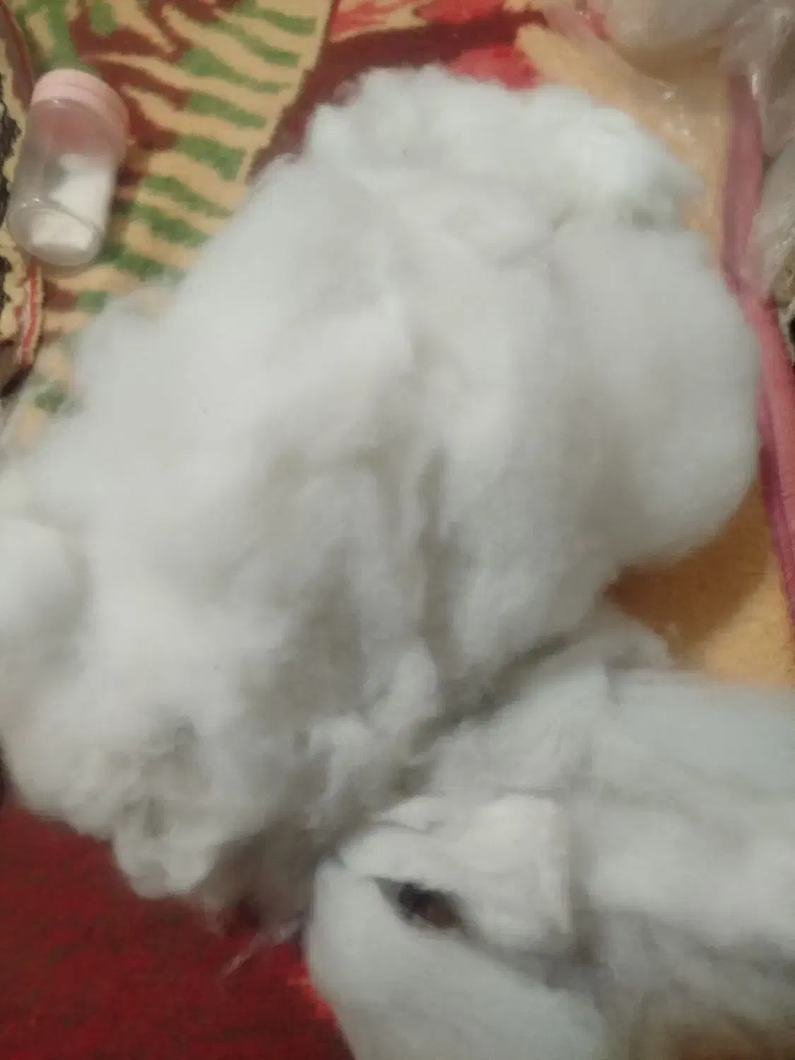 پشم شیشه|رختخواب، بالش، پتو|تبریز, |دیوار