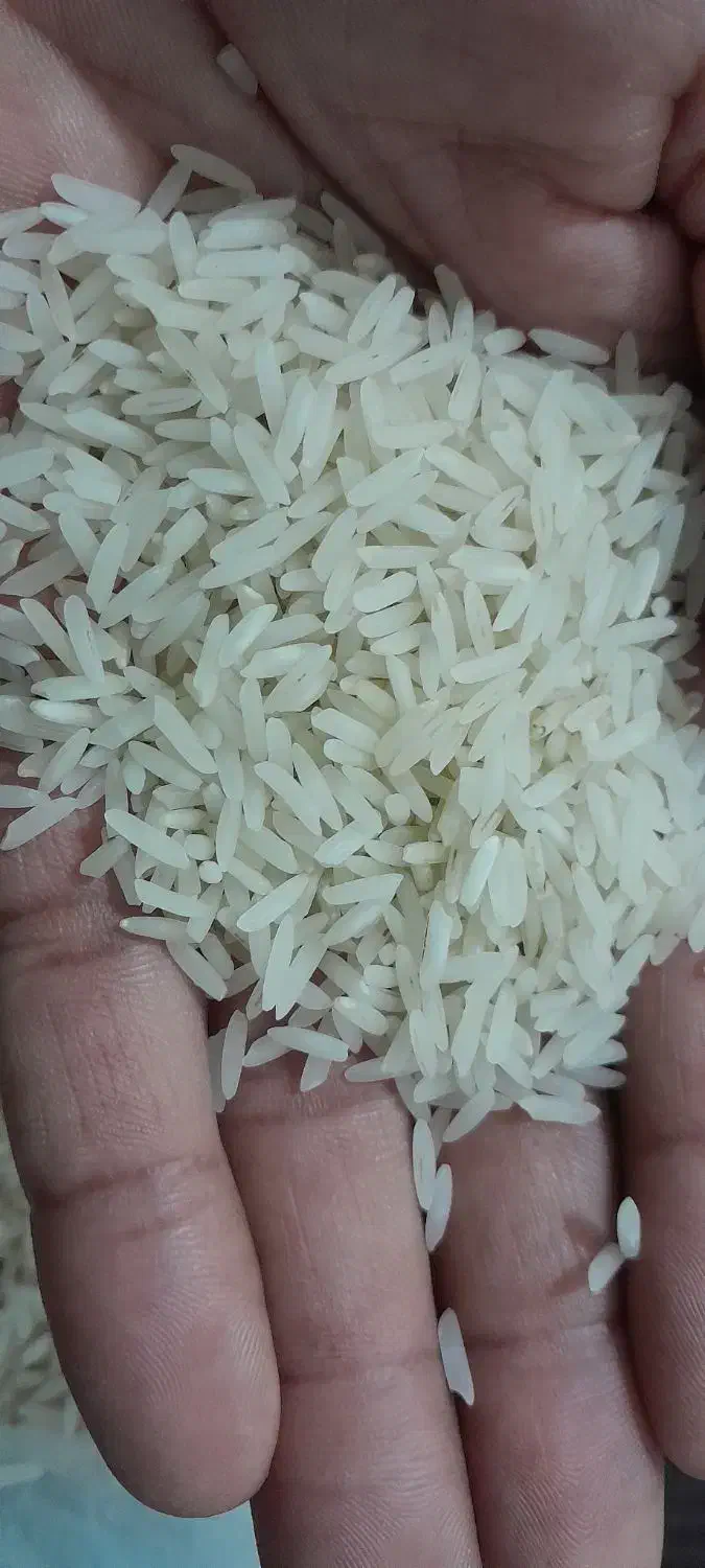 برنج ندا اعلادرجه یک|خوردنی و آشامیدنی|علیآباد کتول, |دیوار