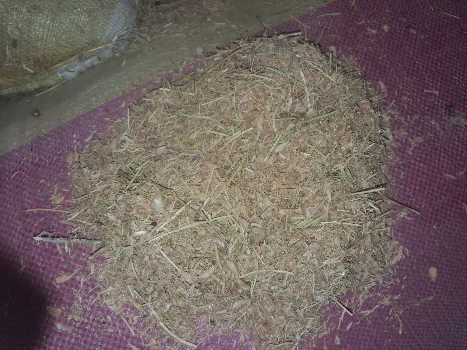 کاه عدس|حیوانات مزرعه|اردبیل, |دیوار