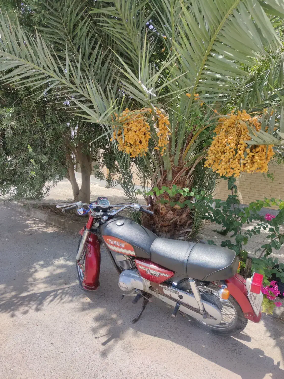 یاماها سوپر تمام فابریک|موتورسیکلت|تهران, آرژانتین|دیوار