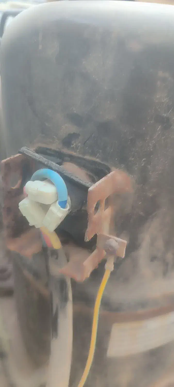 مدارک گم کردم|اشیا|میناب, |دیوار