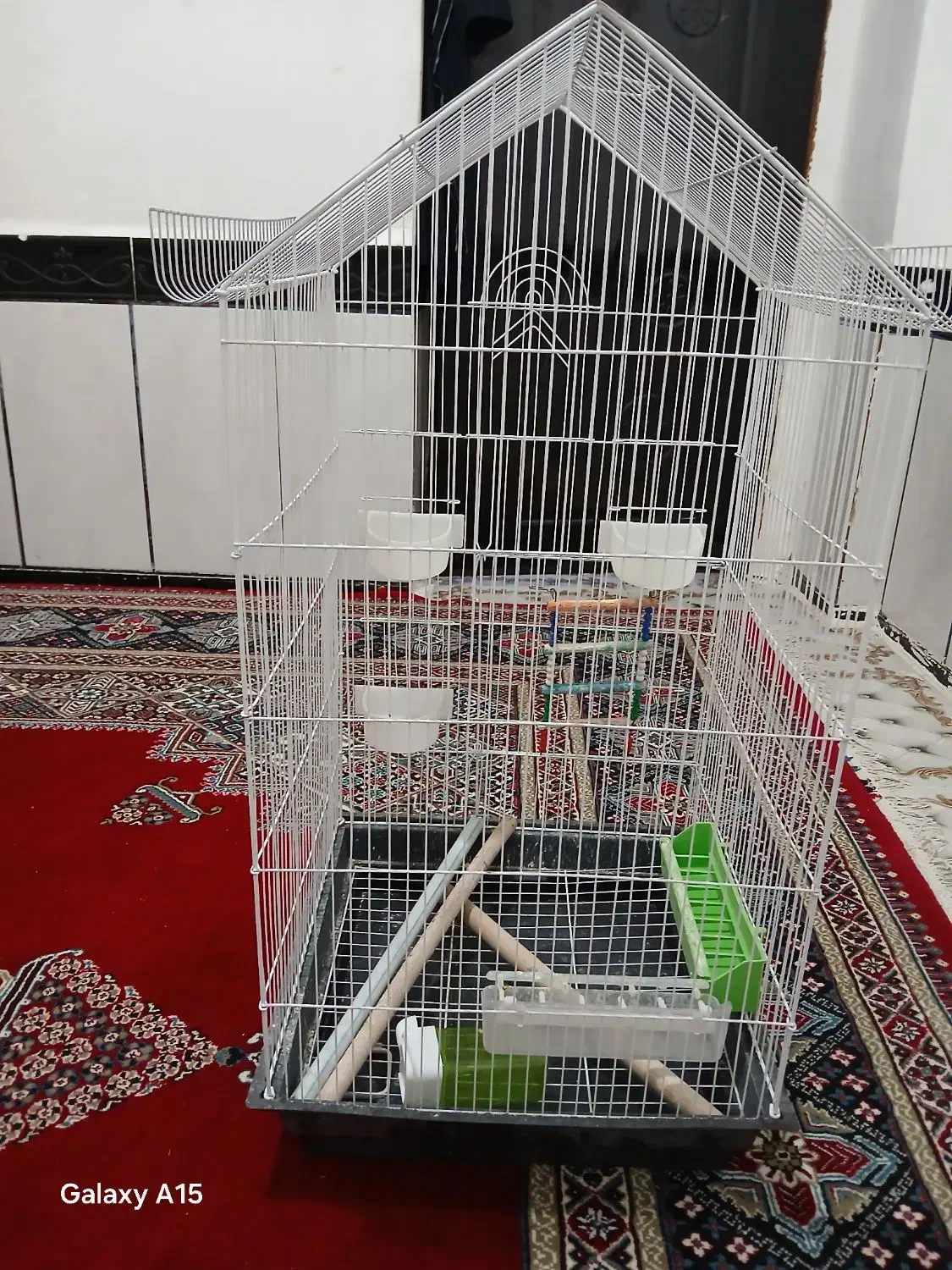 حمیدیه|لوازم جانبی حیوانات|سوسنگرد, |دیوار