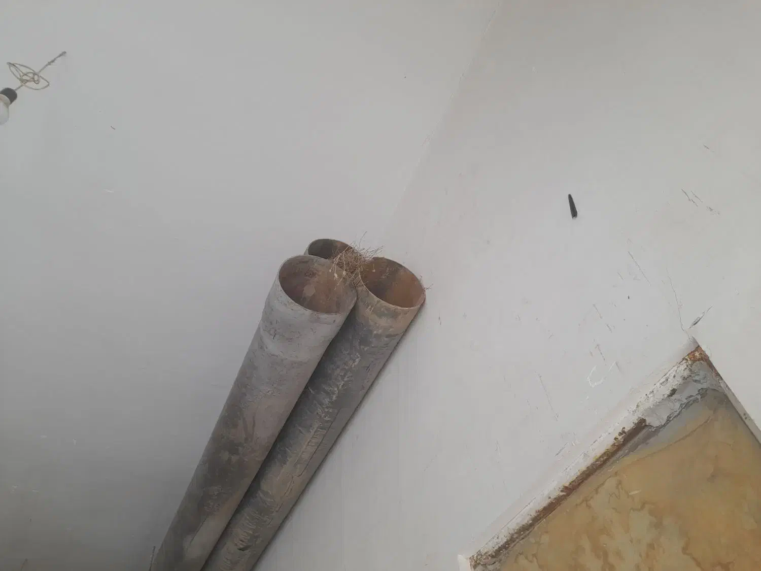 لوله ۲۵صبا|حراج|قیدار, |دیوار