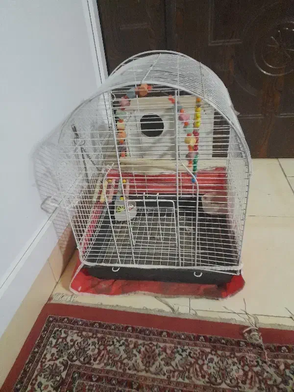 قفس پرنده|لوازم جانبی حیوانات|مشهد, سمزقند|دیوار