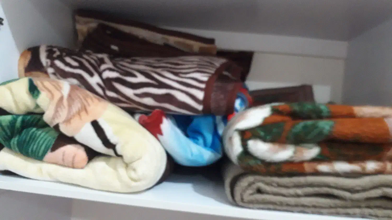 کوله پشتی وغیره|کیف، کفش، کمربند|بوکان, |دیوار