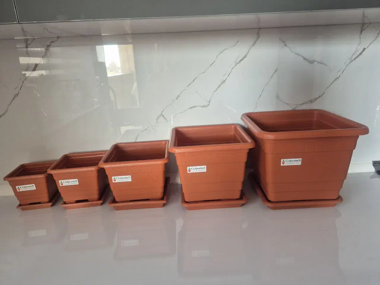 مجموعه‌ای از گلدان و زیر گلدانی|گل و گیاه طبیعی|شاهین‌شهر, فدک|دیوار