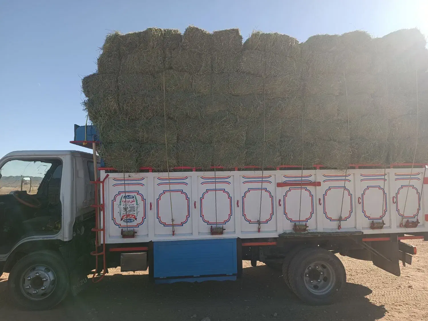 یونجه|خدمات باغبانی و درختکاری|کوهدشت, |دیوار